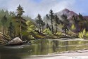 Loch Garten (click to enlarge)